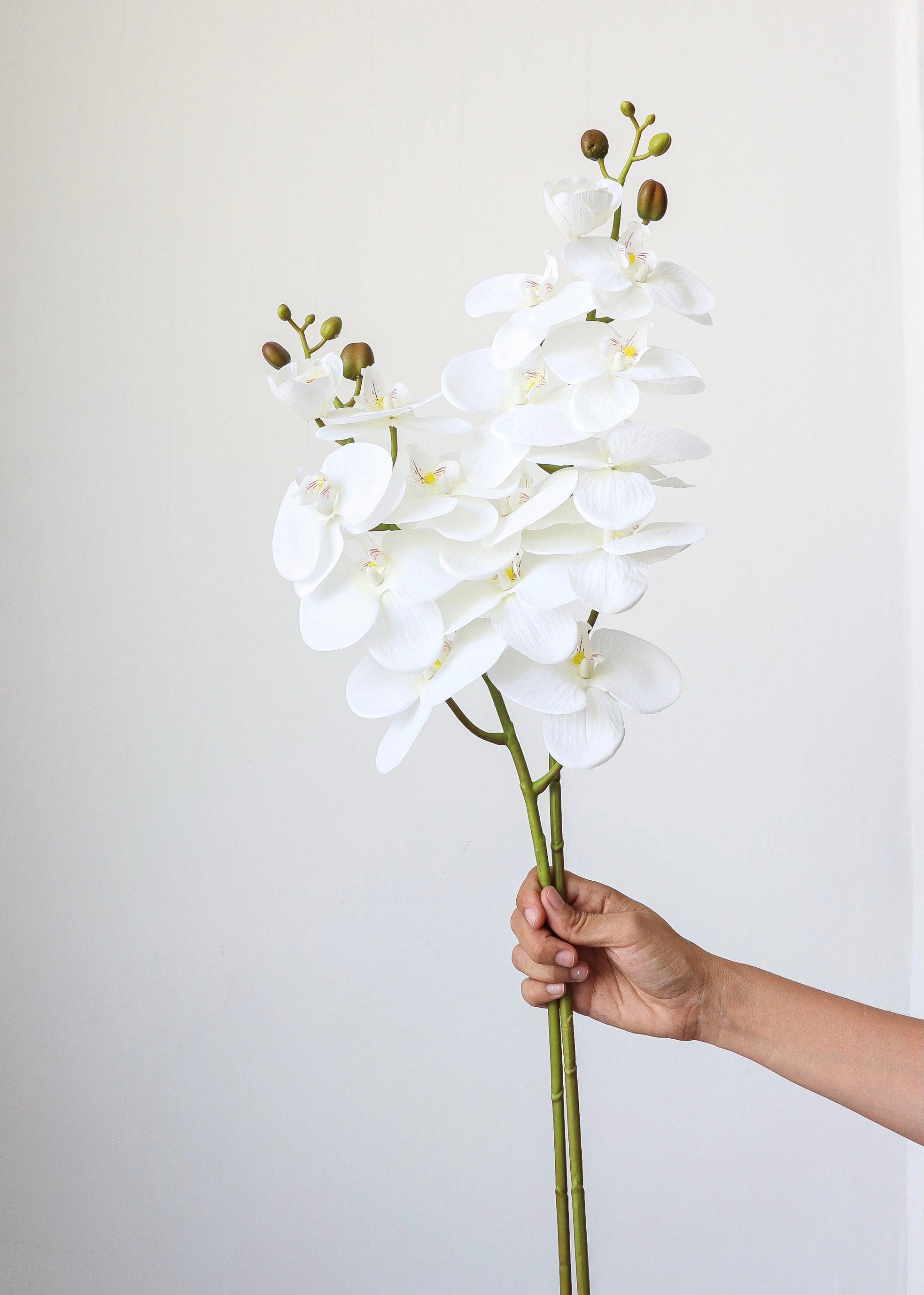 Flor orquidea blanca - 1 Pz-MAHA